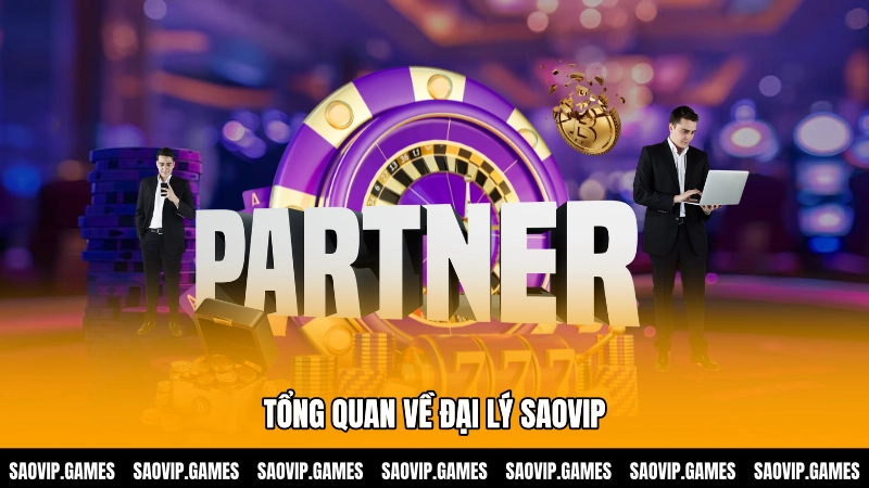 Tổng quan về đại lý SAOVIP